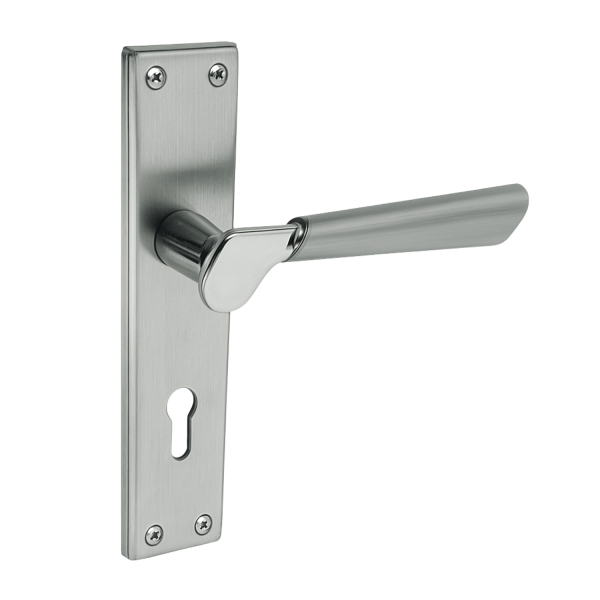 Şehzade Aynalı Kapı Kolu