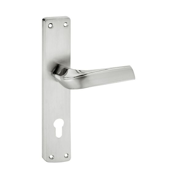 Asaf Aynalı Kapı Kolu