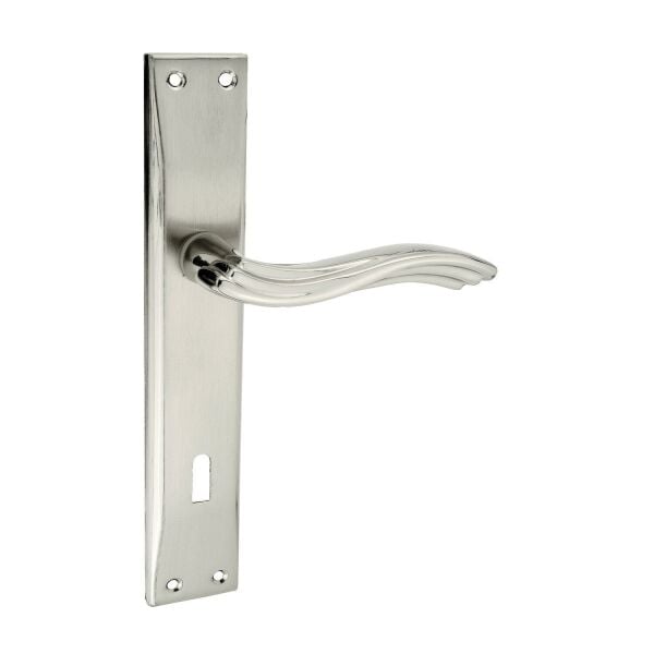 Aras Aynalı Kapı Kolu